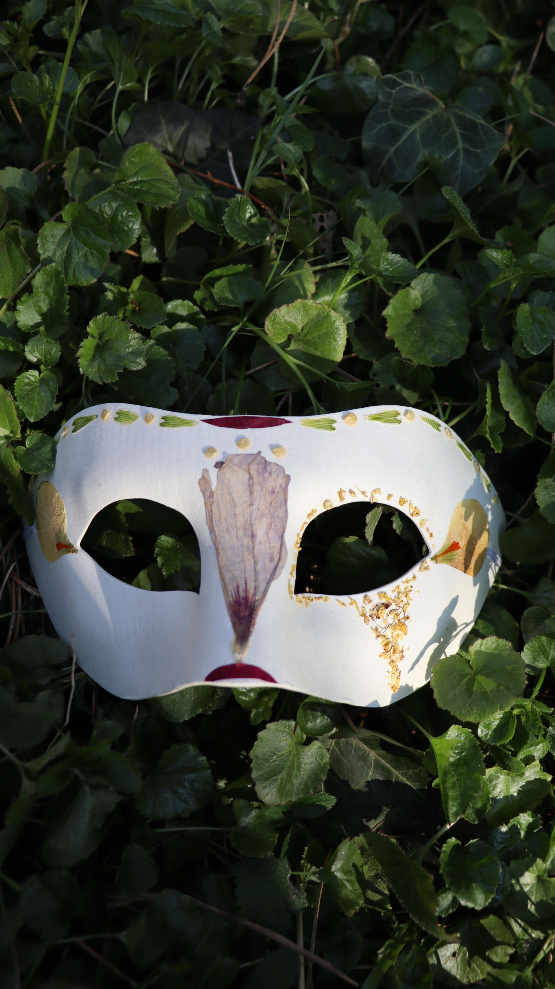 Botanical Mask 二
