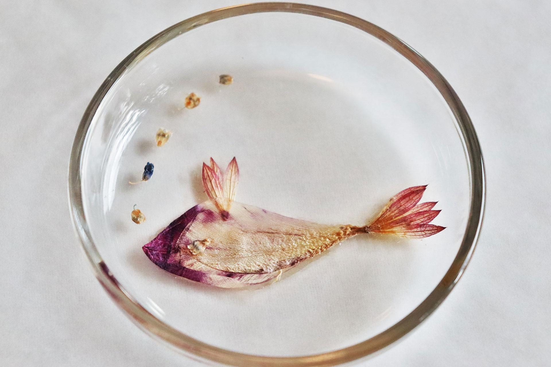 Fish 鱼